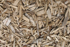 biomass boilers Gillarona